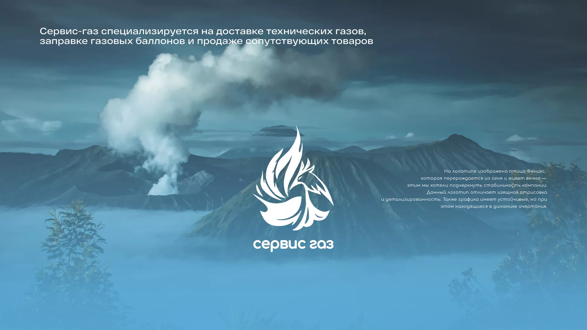Создание сайта компании «Сервис газ» в Щелково